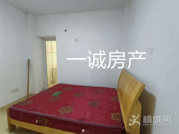 IMG20240717144511.jpg