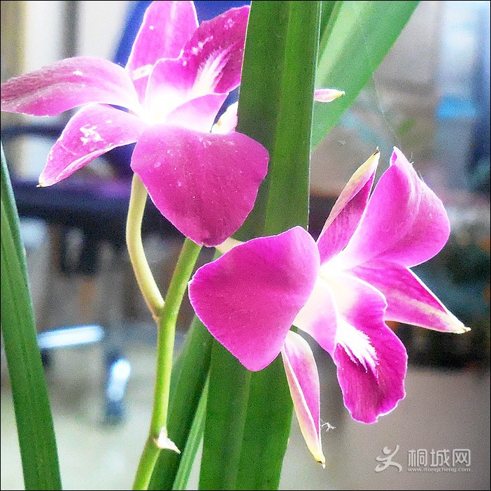DSCN0793Ի.jpg