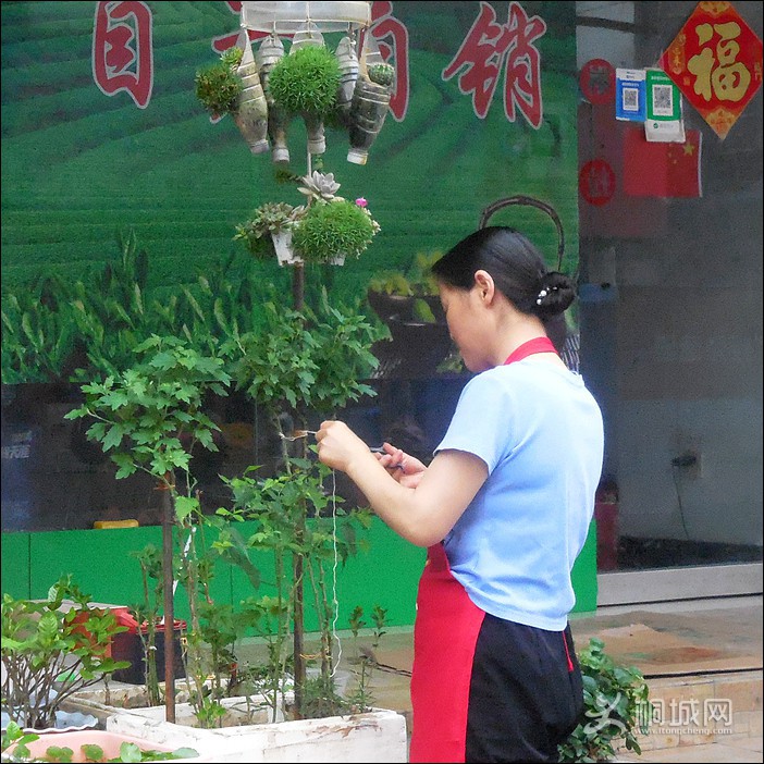 DSCN1489޼.jpg