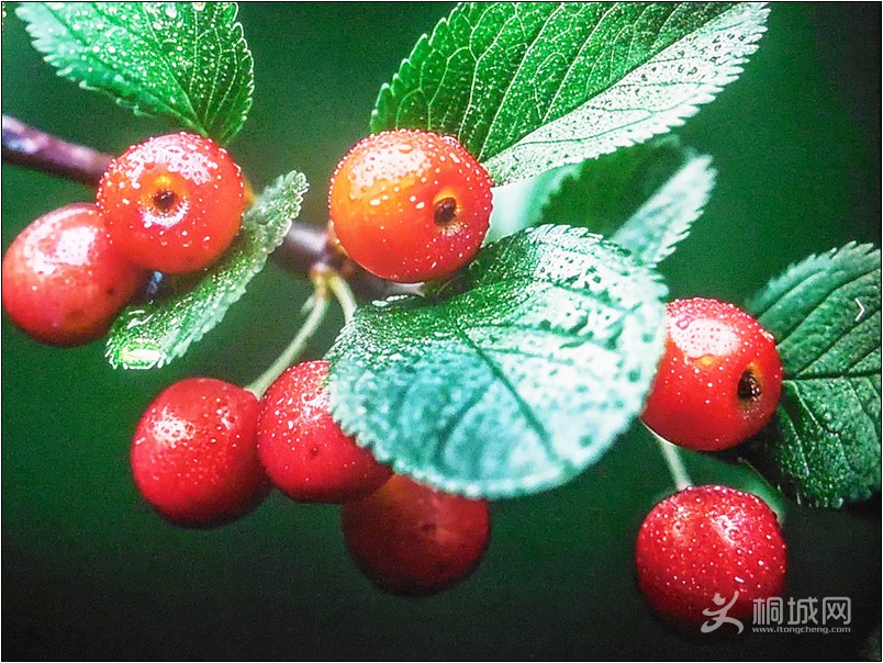 DSCN1455˶.jpg