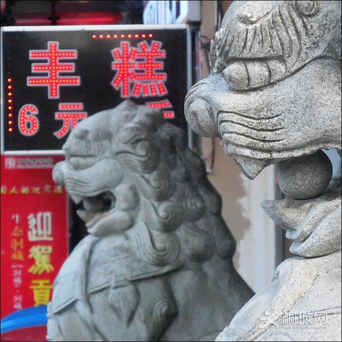 DSCN1393.jpg