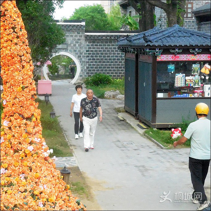 DSCN1294.jpg