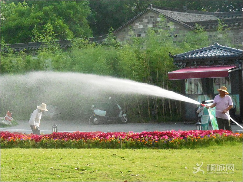 DSCN1315ʺ.jpg