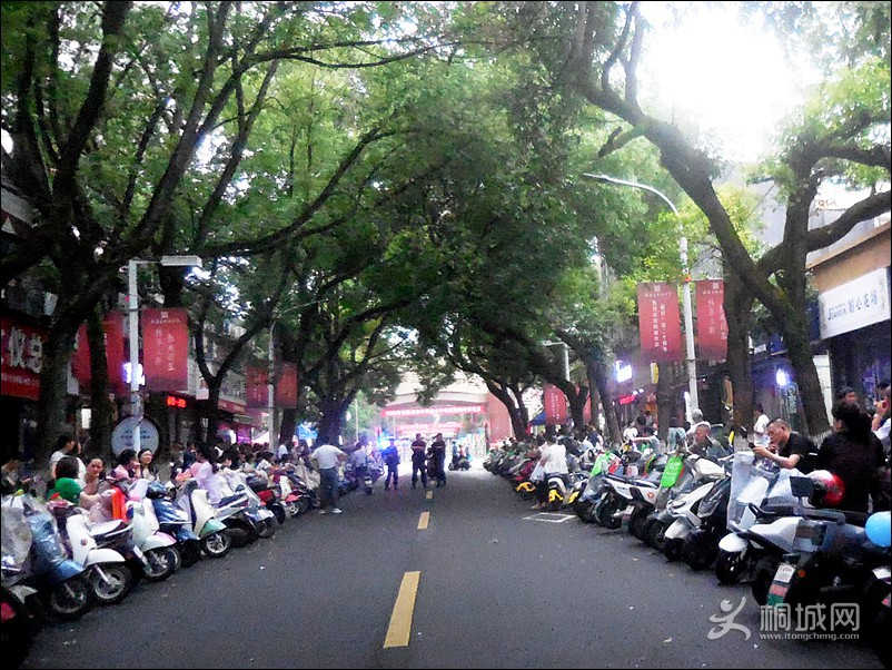 DSCN1565.jpg
