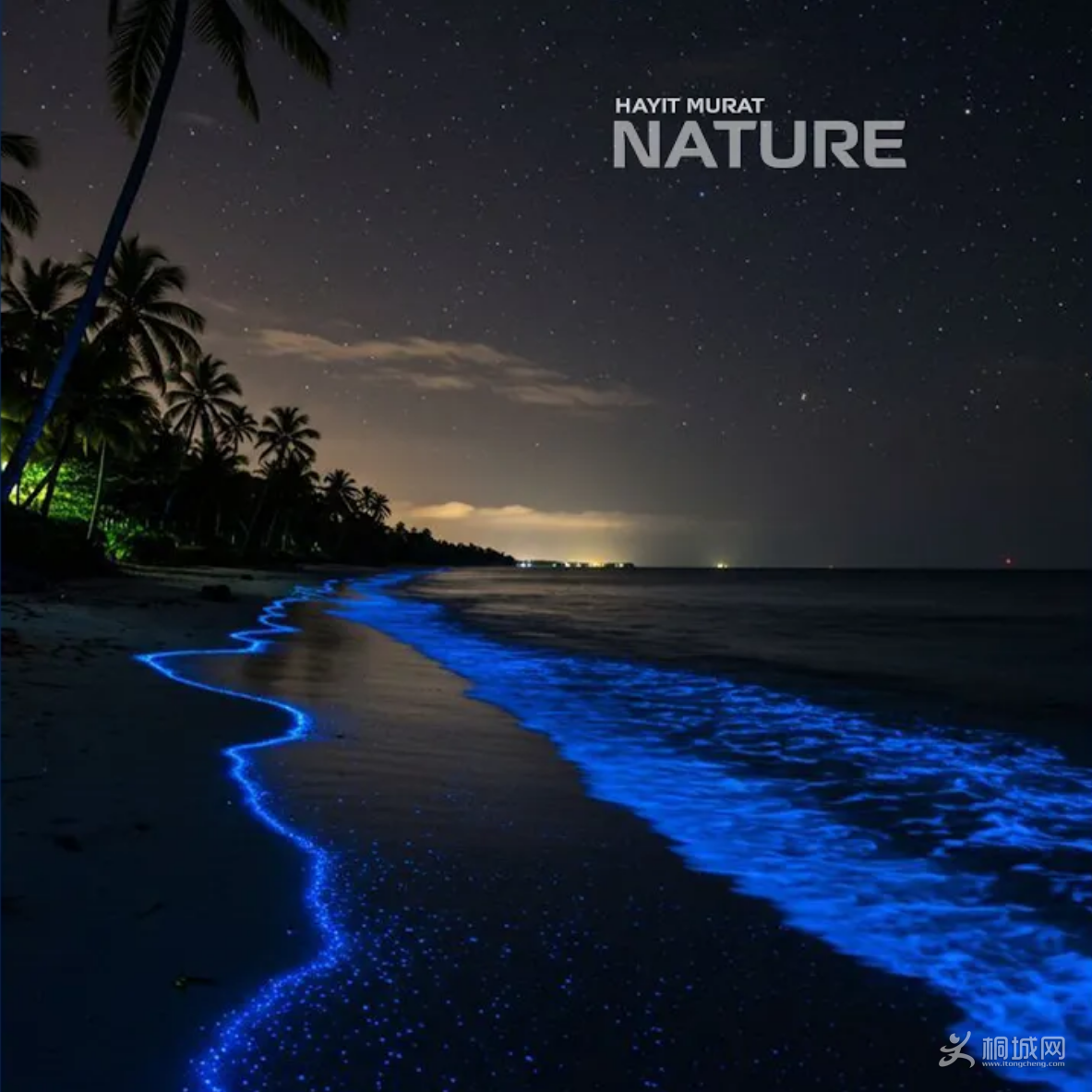 Hayit Murat - Nature.jpg