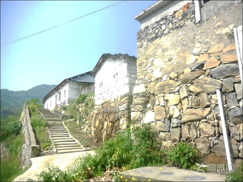 DSCN0578ɽʯ����.jpg
