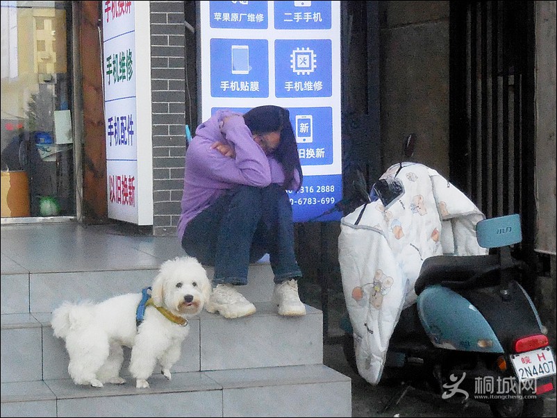 DSCN0101��.jpg
