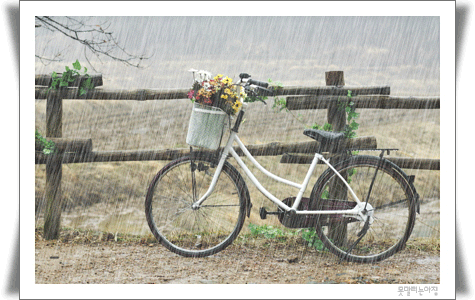 1109262.gif