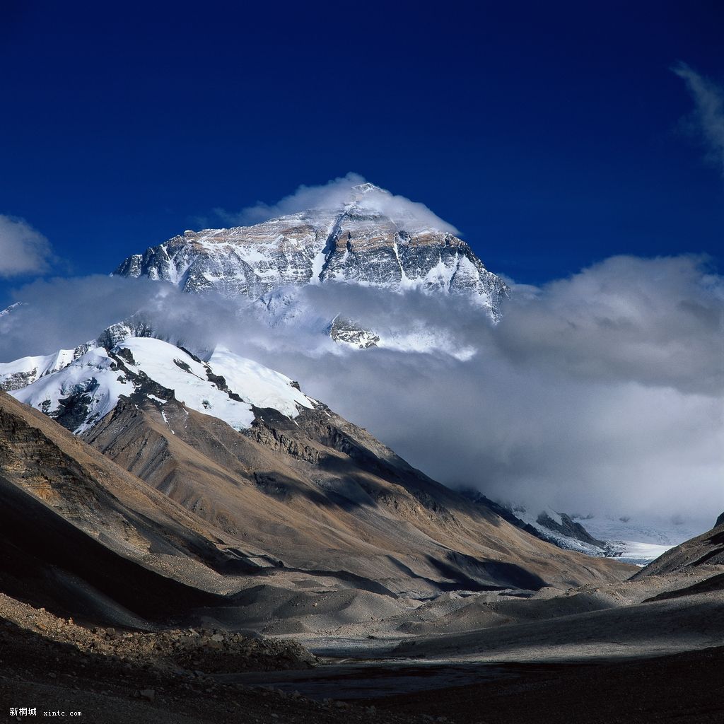ms2_092.jpg