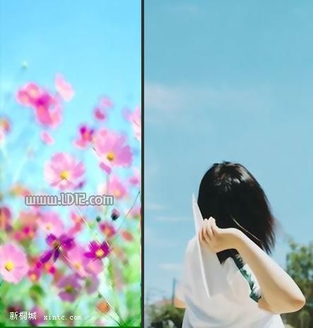 2d480f2bf0aa261c5243c150.jpg