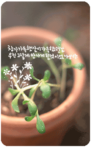 42221192009t.gif