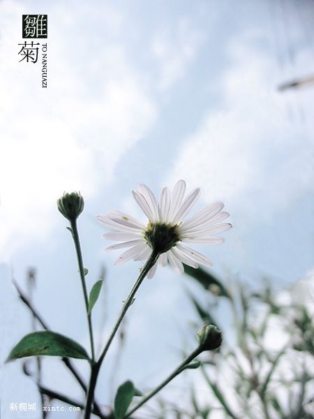 20090327_f0d8e9ba3e301e4d5386v44UfEFQnZYQ.jpg