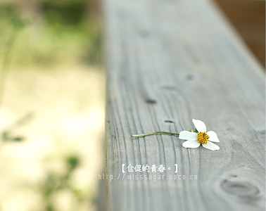 {D2853A78-EFC0-487A-8C97-8BC32B1F2009}.png