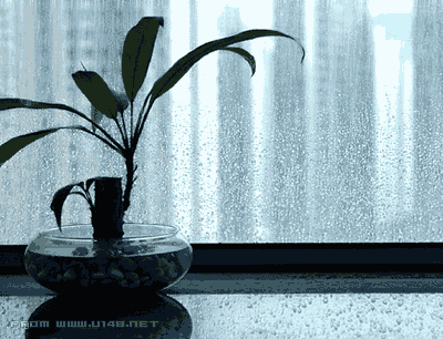 1262404826156.gif