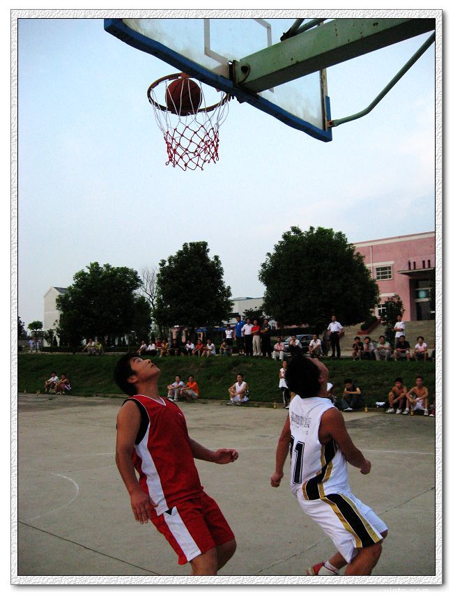 IMG_5460.jpg