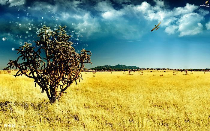 photo_manipulation_photo_art_the_magic_tree.jpg