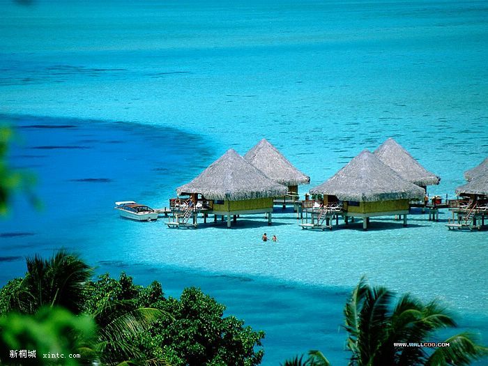 Backyard_Pool_Bora_Bora_French_Polynesia.jpg