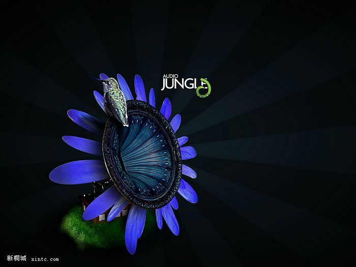 Audio_Jungle_Wallpaper_8.jpg