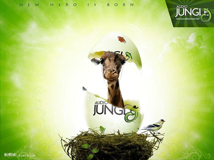 audio_jungle7.jpg