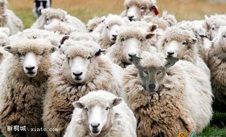 ����16 �Ե�5.jpg