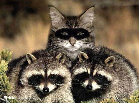 ����16 �Ե�6.jpg