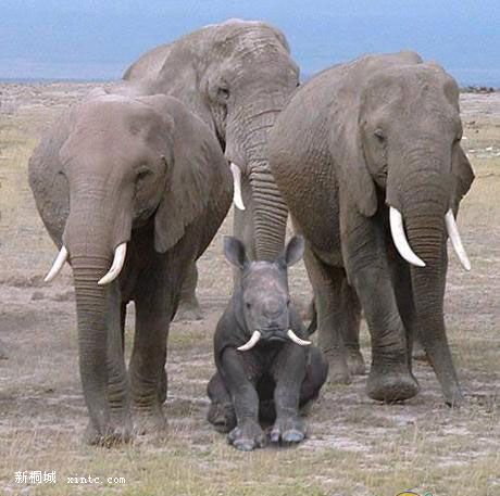 ����16 �Ե�7.jpg