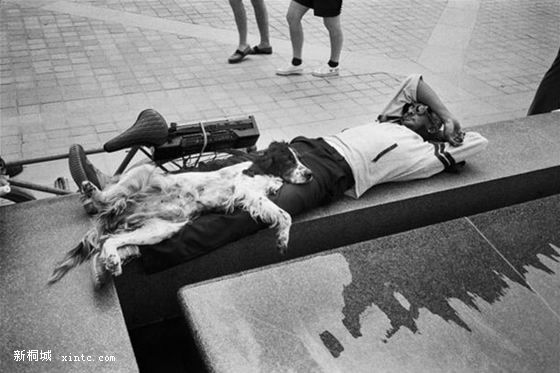 �����ѣ� Yves Beaulieu�����ô�