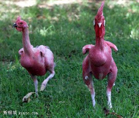 ��Σ�յ��㱼 - ����Ҫ�¹���.gif