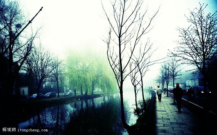 [wallcoo_com]_LOMO_lomography_Misty Canal.jpg