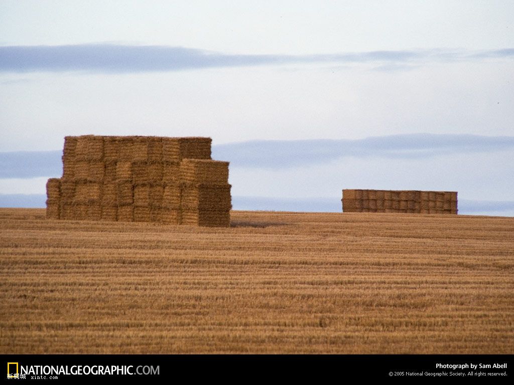 ݶѳ,һ֪ũҵʵִ.ݶܶѵʳ..!!