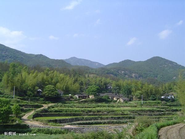07082711555296.jpg