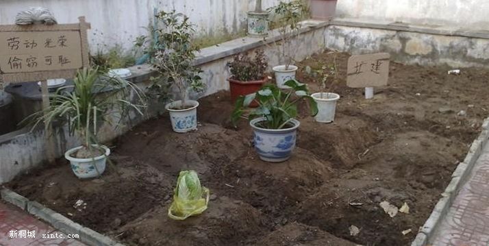 [11_19_09][12_39_39][Maxthon Shot].jpg