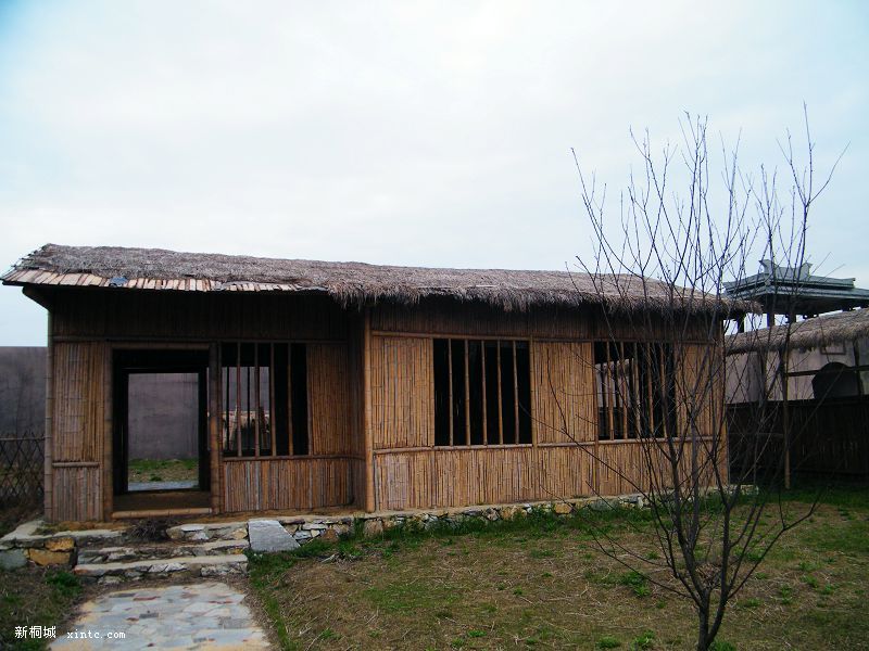 DSCF2553.jpg