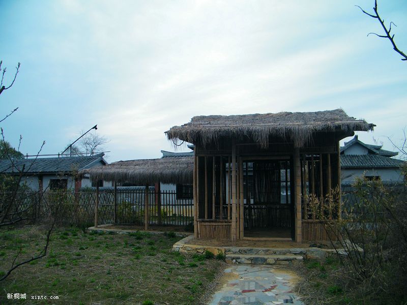 DSCF2552.jpg