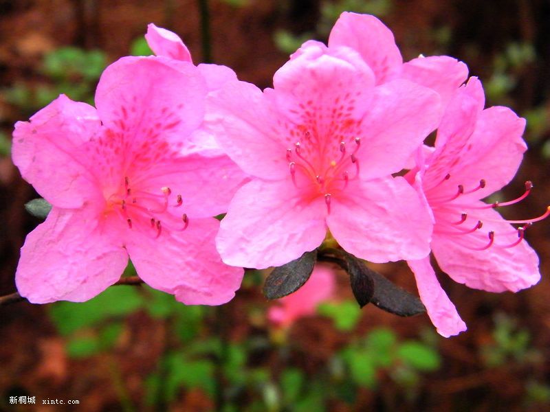 DSCF1888.jpg