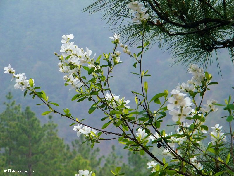 DSCF1891.jpg
