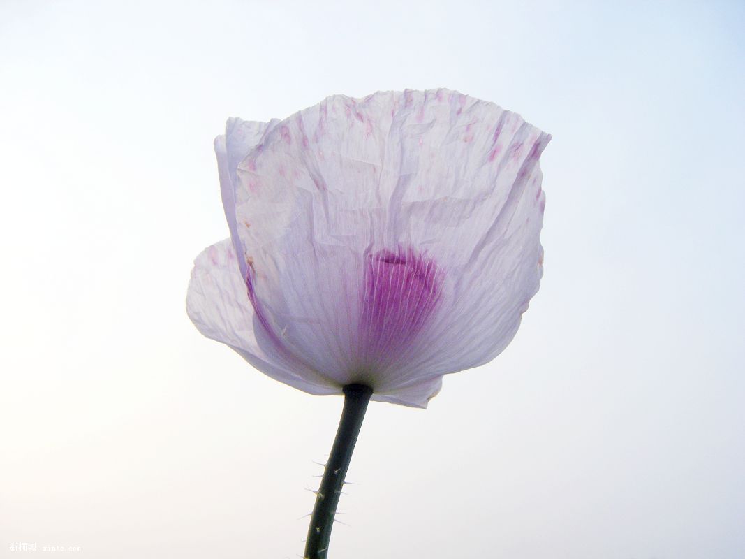 20090401Ƭ 005.jpg