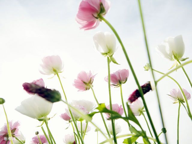 5a96c72d8041c0cd8b139963.jpg