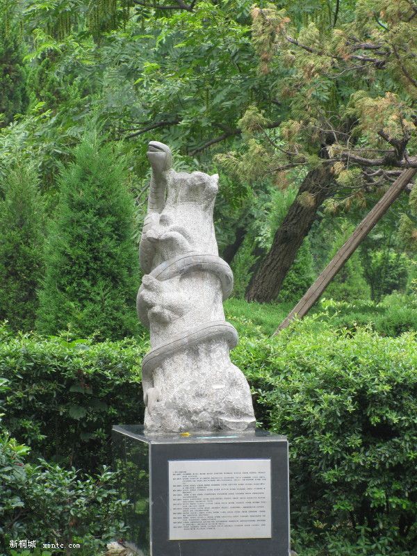IMG_1553.JPG