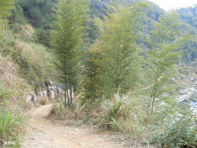 05.jpg