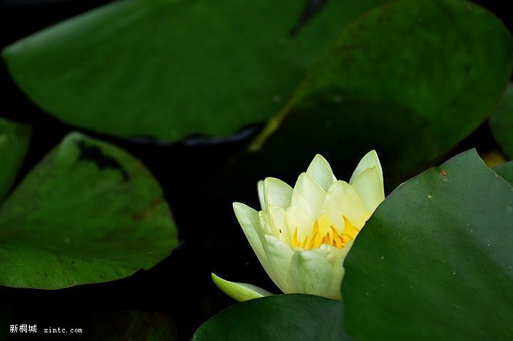 DSC_0832.jpg