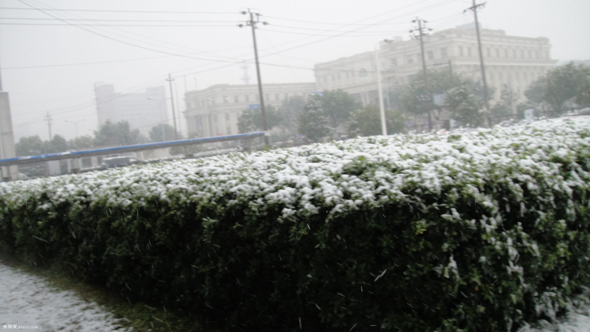 DSC00530.JPG