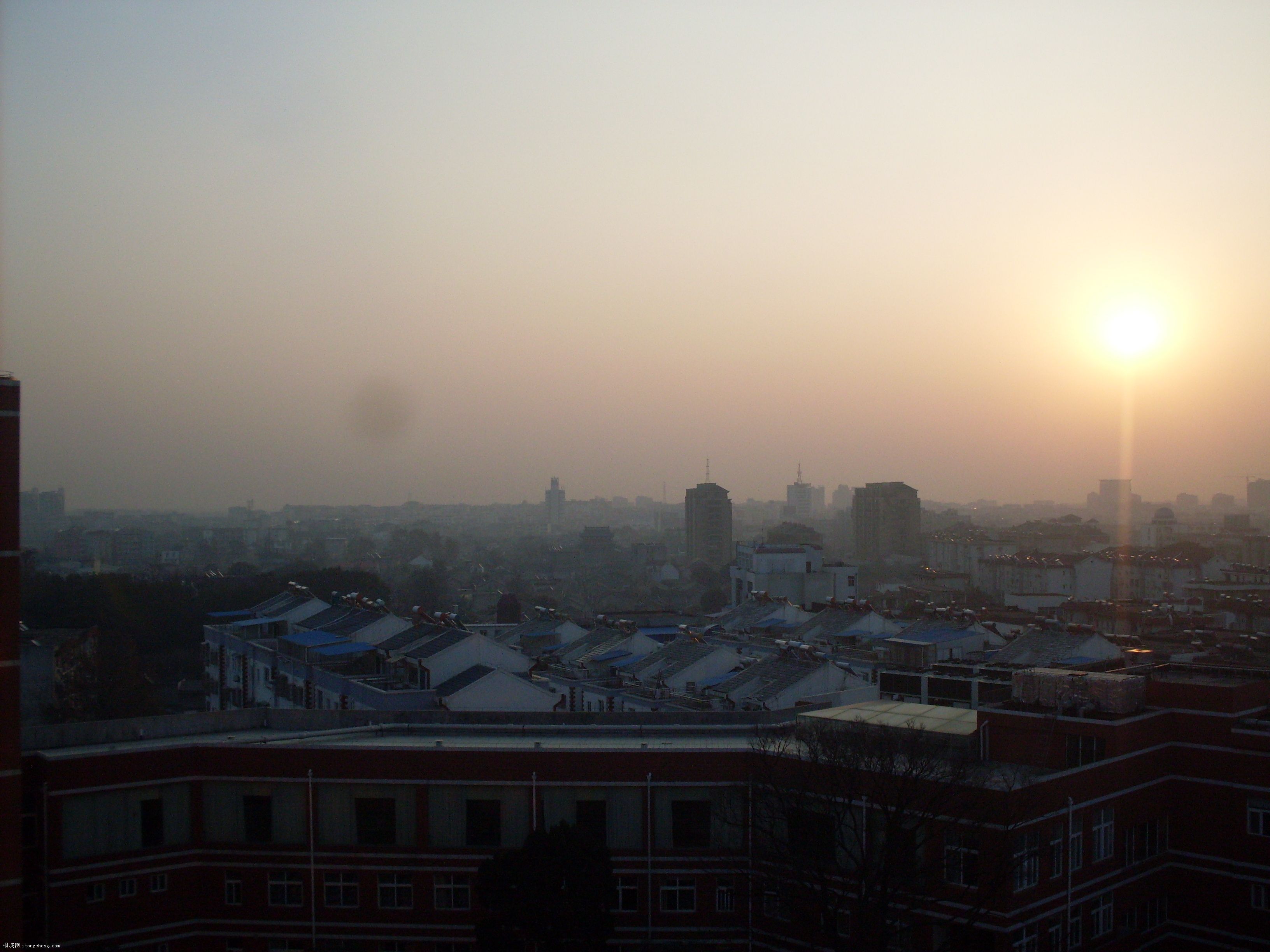 SDC10013.JPG