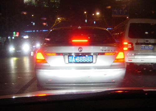 11373860.jpg