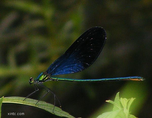 DSCF2940.jpg