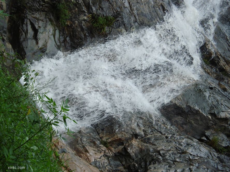 DSC00527.jpg