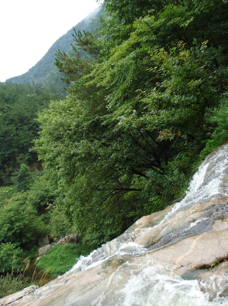 DSC00532.jpg