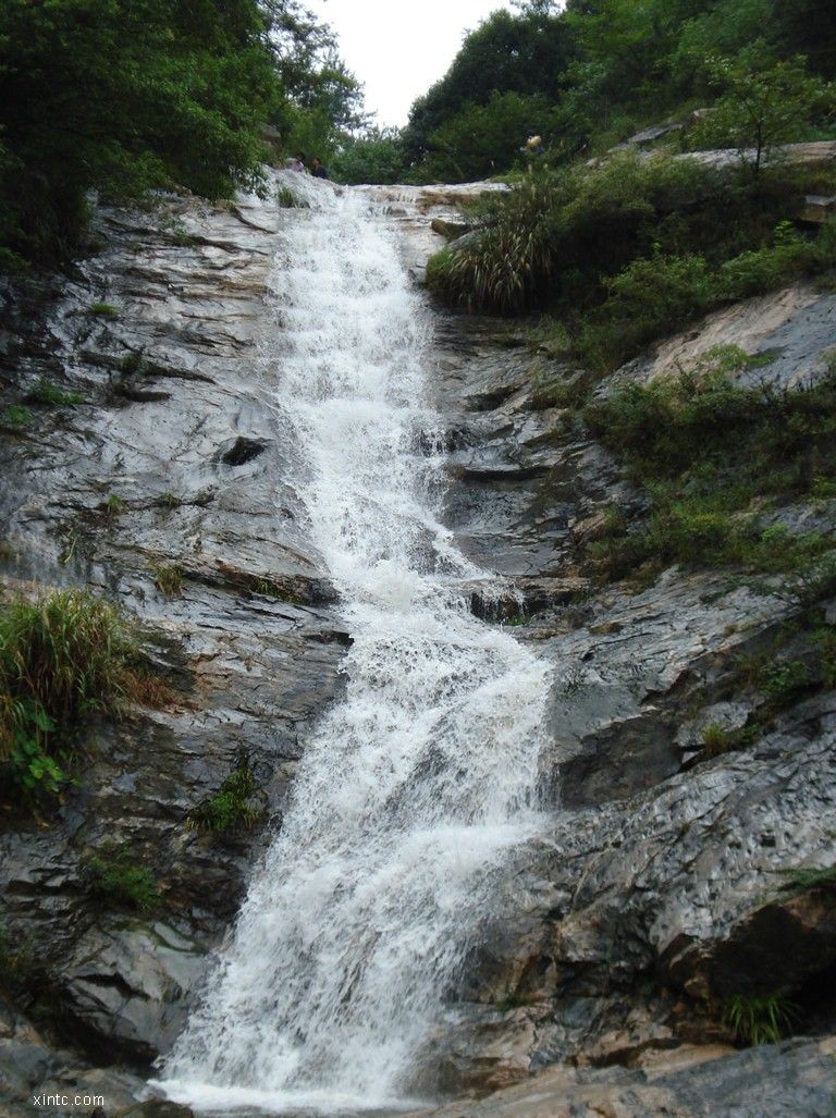 DSC00525.jpg