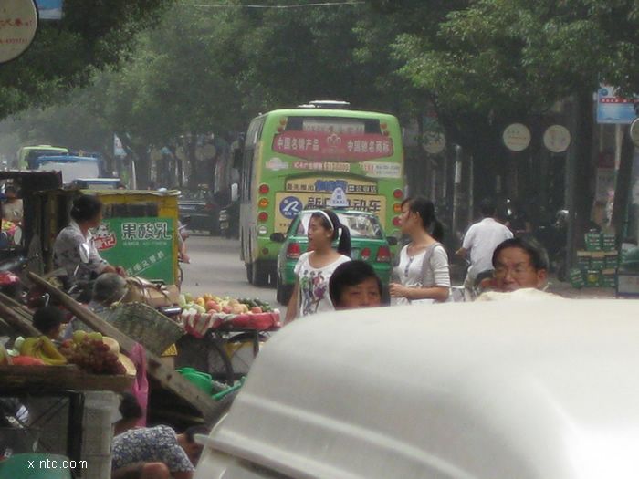 IMG_0781.jpg