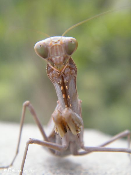 DSCF2417.jpg